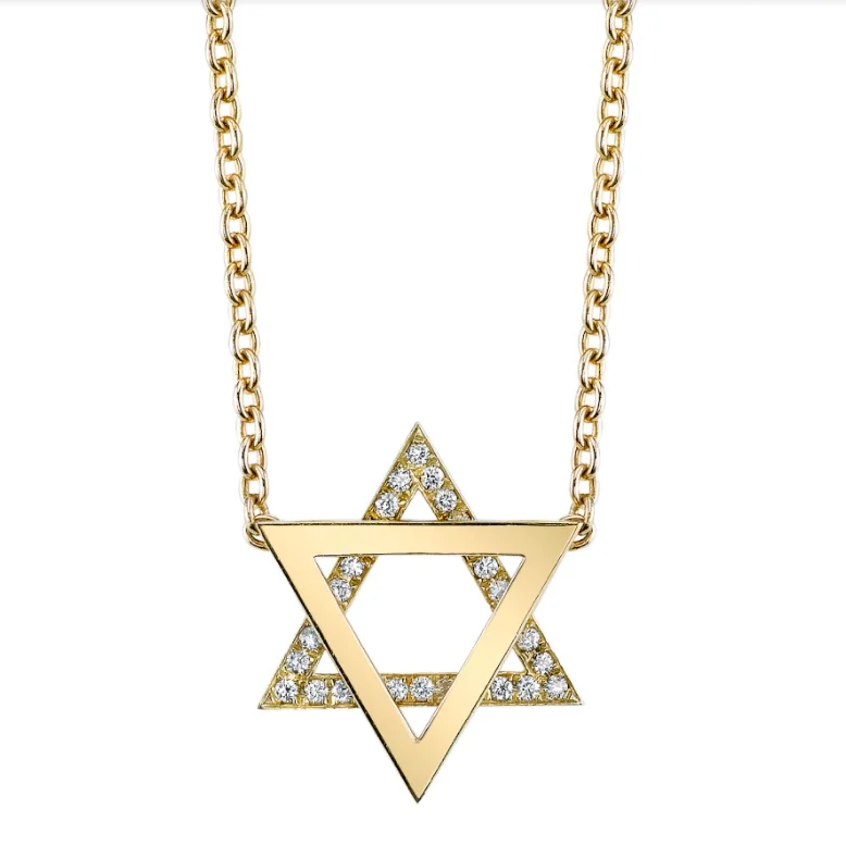 Ladies necklaces 2025 trends-Floating Star of David Necklace