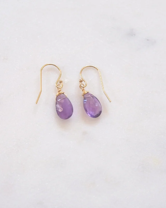 Ladies earrings minimalist trends-Amethyst Drop Earrings