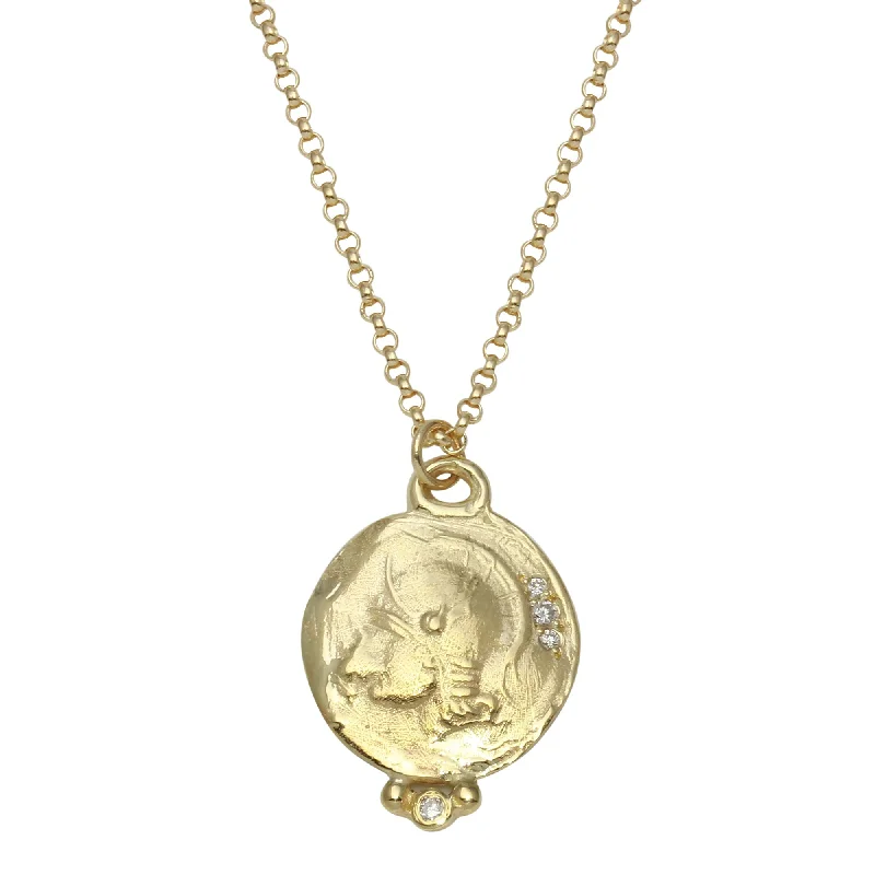 Ladies necklaces titanium options-Warrior Gold Coin Necklace