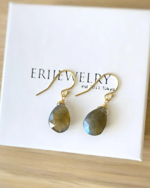 Ladies earrings 2025 trends-Labradorite Simple Drop Earrings